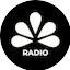 Logo NBS Radio