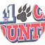 Logo 94.1 Cat Country