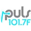 Logo Pulse 101.7