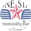 Logo Lone Star Internet Radio