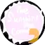 Logo The Sunshine Pop Connection 2