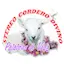 Logo Stereo Cordero Divino