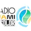 Logo Radio Miami Color