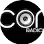 Logo Icon Radio FM