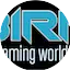 Logo The BIN Radio Network