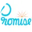 Logo The Promise FM