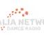 Logo Italia Network Dance Radio