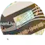Logo LingomanLive