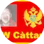Logo AW Càttaro