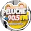 Logo Peluche Fm 90.5 Apatzingán Mich.
