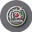 Logo Illusion Radio Christmas