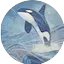 Logo Orca.fm