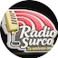 Radio Surco