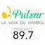 Logo Radio Pulsar CI
