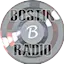 Logo Bostin Radio