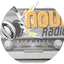 Logo Novi radio Zadar - #onlymusic