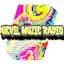 Logo Ducvil Muzic Radio