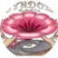 Logo Psyndora Psytrance