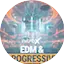 Logo bigFM EDM & Progressive