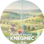 Logo Domaći radio Kneginec
