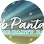 Logo Dance Party Radio