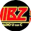 Logo Vibz FM