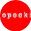 Logo Radio Sopocki