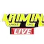Logo Dj Kriminal Livestream