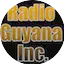 Logo Radio Guyana Inc.