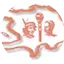 Logo Radio Kiskeya