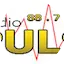 Logo Radio Puls Grocka
