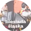 Logo Radio Open FM - Biesiada Śląska