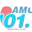 Logo Amor 101.3 FM