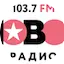 Logo Новое Радио