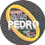 Logo Radio San Pedro
