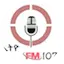 Logo Ethio FM