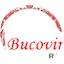 Logo Radio Bucovina