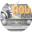 Logo Novi Radio