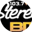 Logo StereoBIT