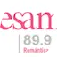 Logo Besame 89.9 FM | Costa Rica