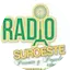 Logo Radio Suroeste