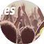 Logo 105'5 Spreeradio Oldies