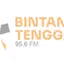 Logo Radio Bintang Tenggara