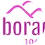 Logo Alborada