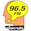 Logo FM96.5