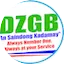 Logo DZGB