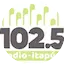 Logo Radio Itapua FM