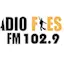 Logo Radio Fiesta