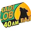 Logo Radio Lobo Bajio