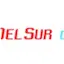 Logo Radio Del Sur